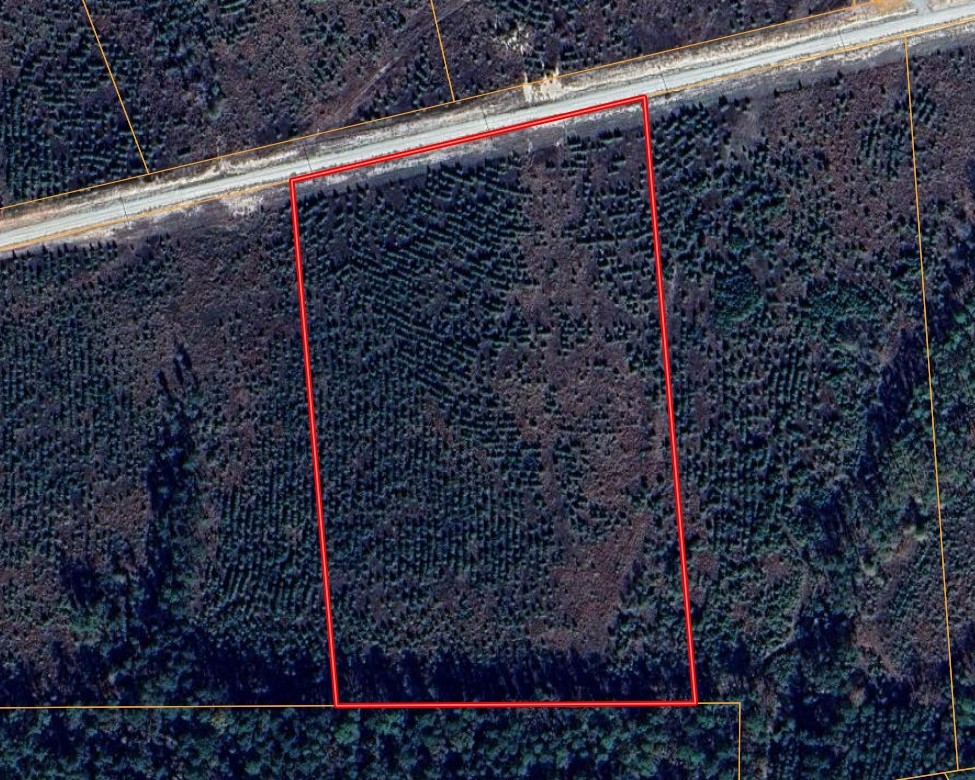 Lot 268 Lone Star Ridge Ranch Property Photo