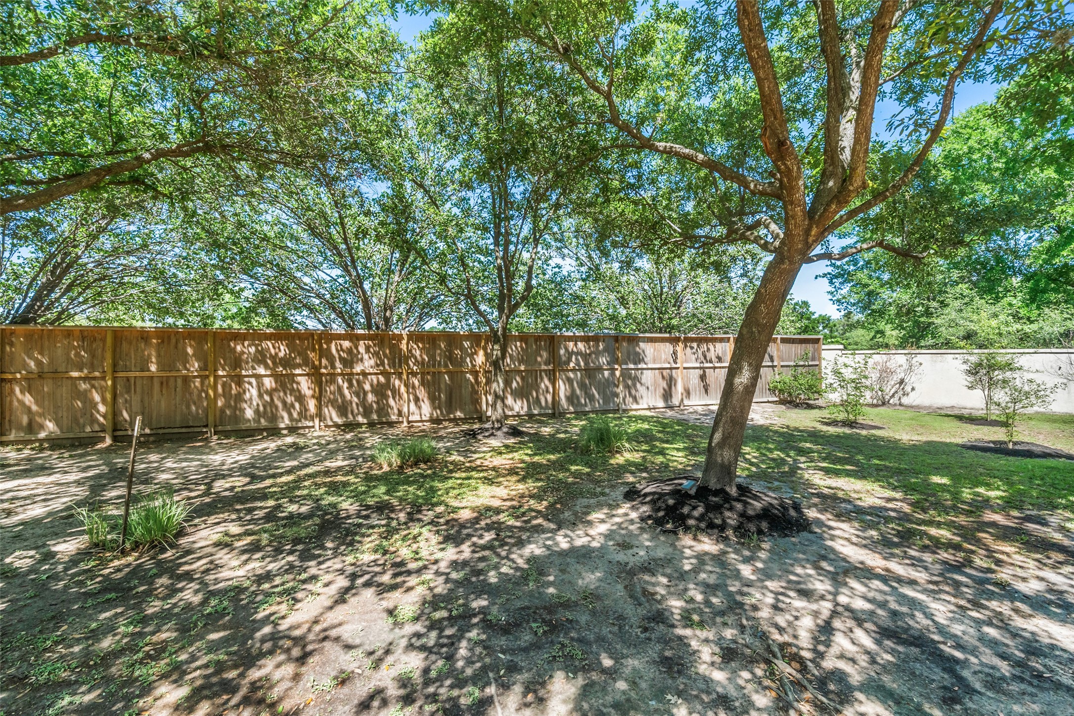 13914 Panola Pointe Property Photo 44