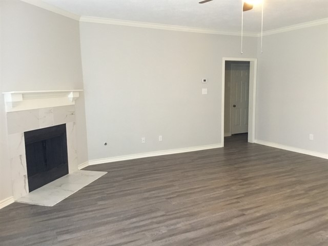3506 Pine Tree Drive Property Photo 5