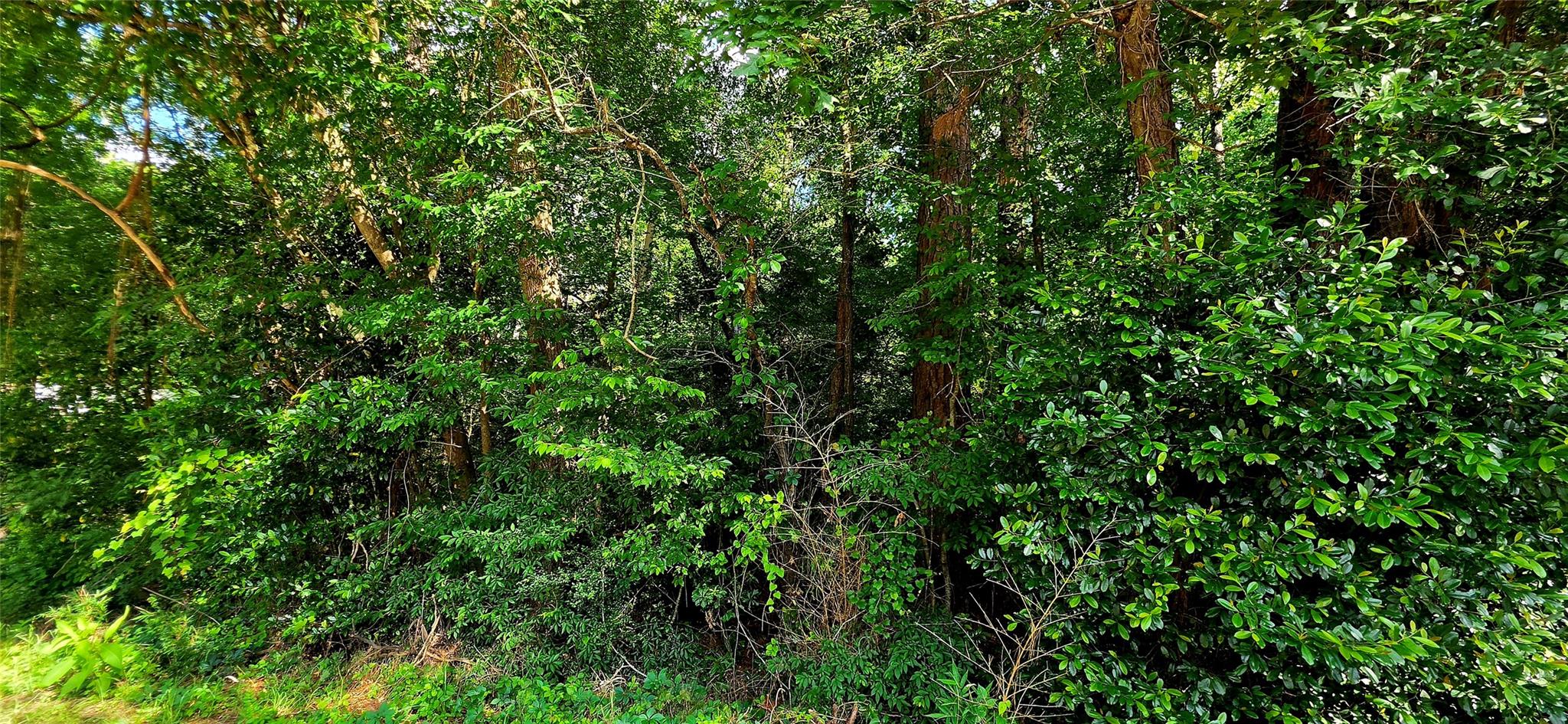 504 John Kolb Road, Lufkin Tx 75901 Property Photo 1
