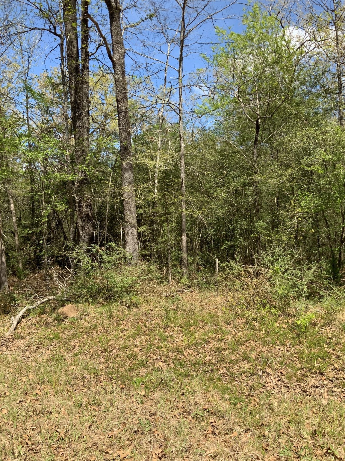 157 Foyt Drive Property Photo