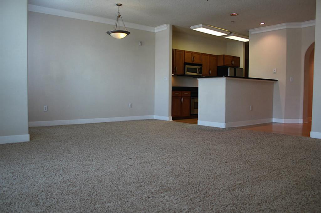 2299 Lone Star 419 Property Photo 8