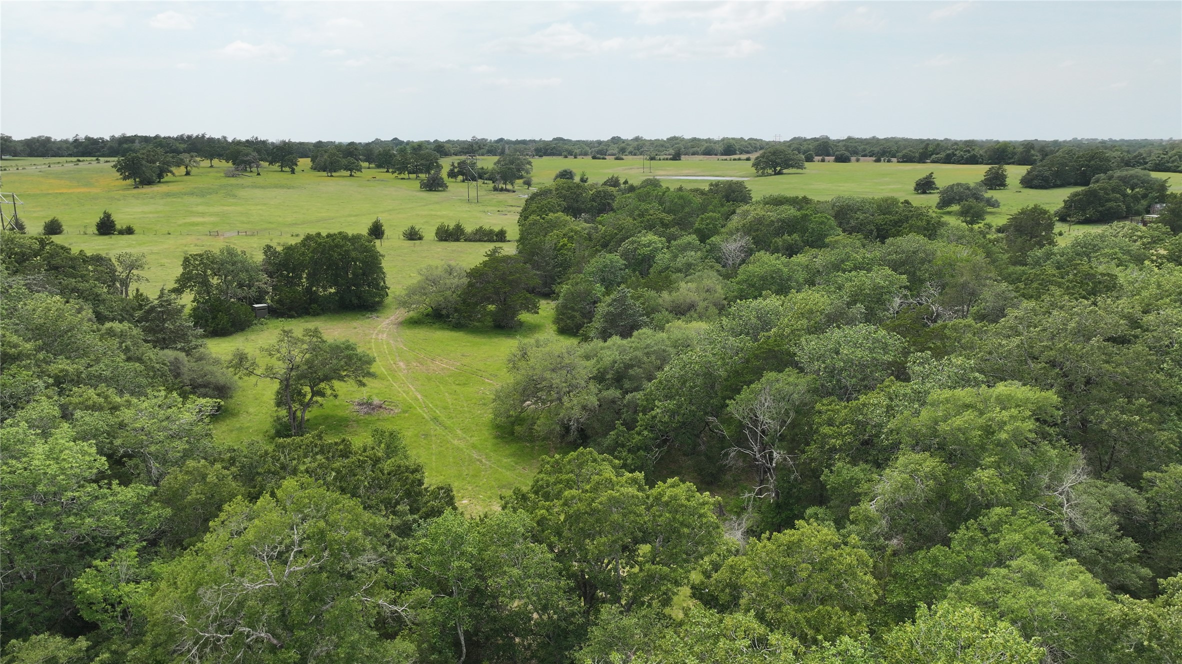 Tbd Greenvine Road Property Photo 6