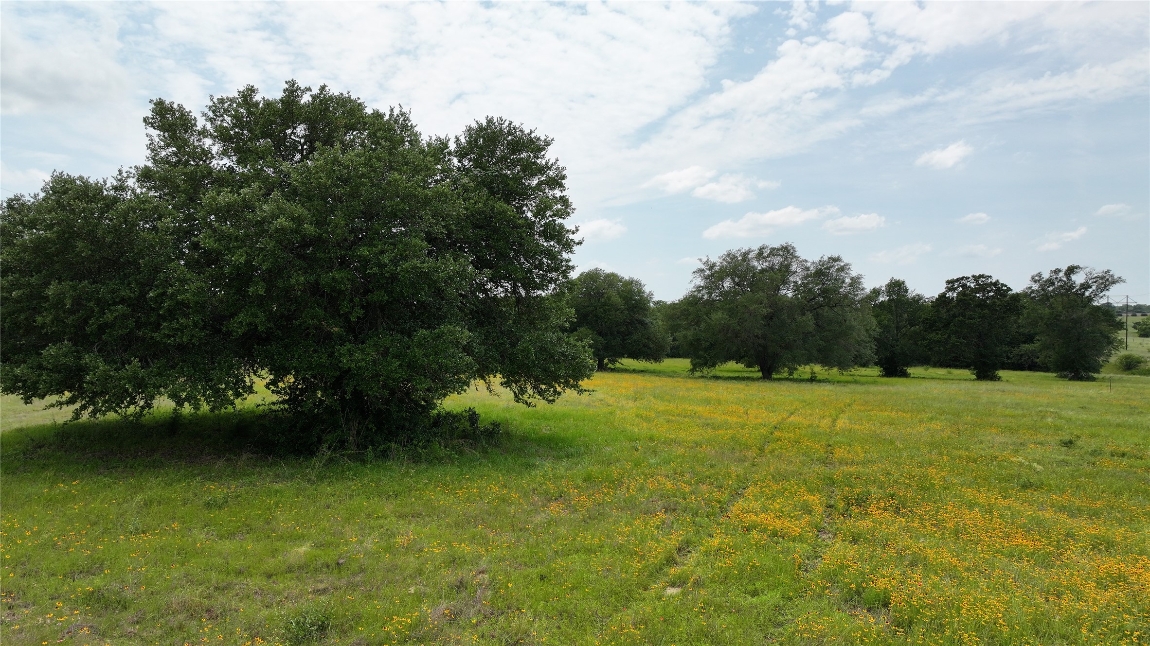 Tbd Greenvine Road Property Photo 9