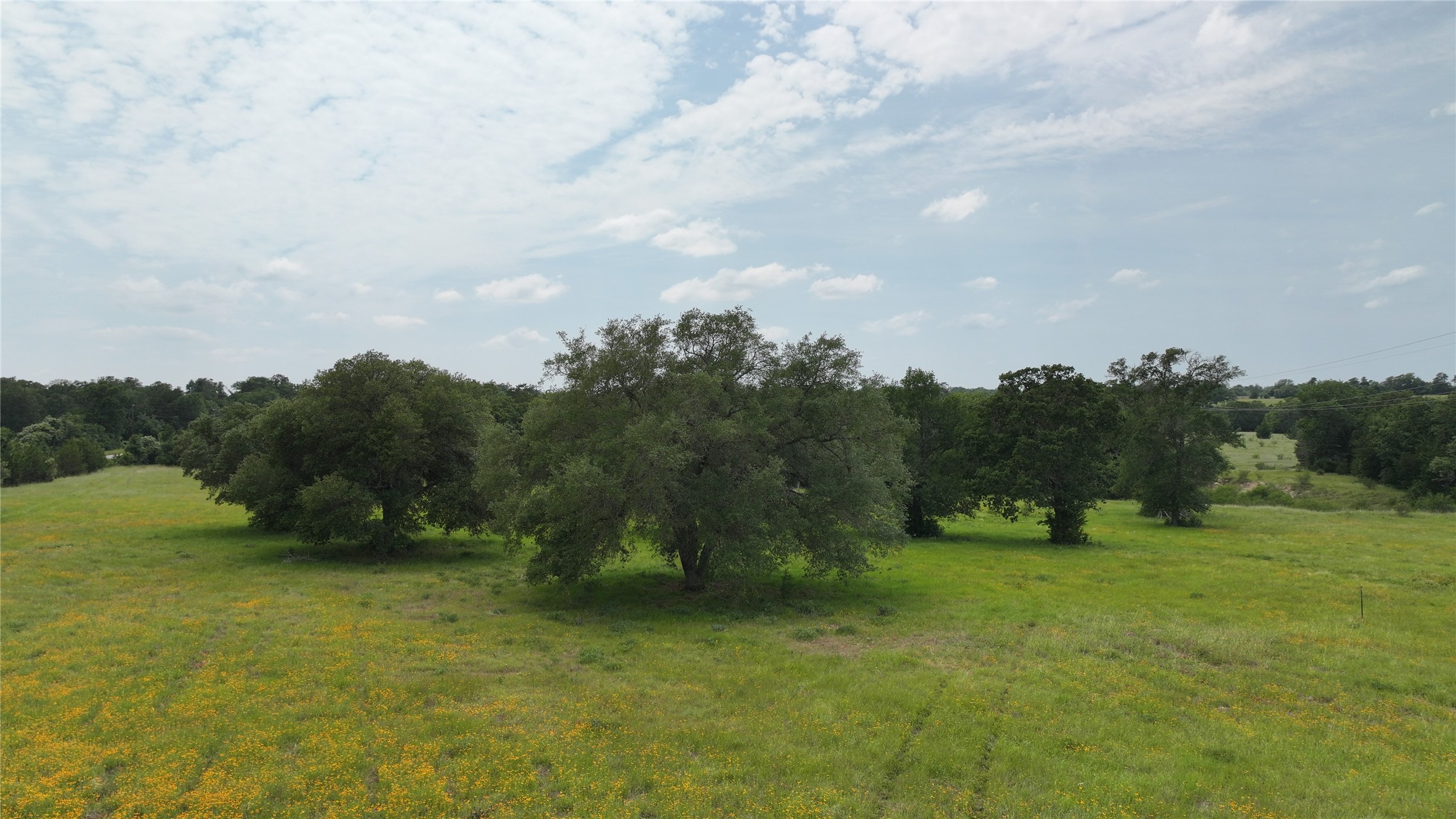 Tbd Greenvine Road Property Photo 10