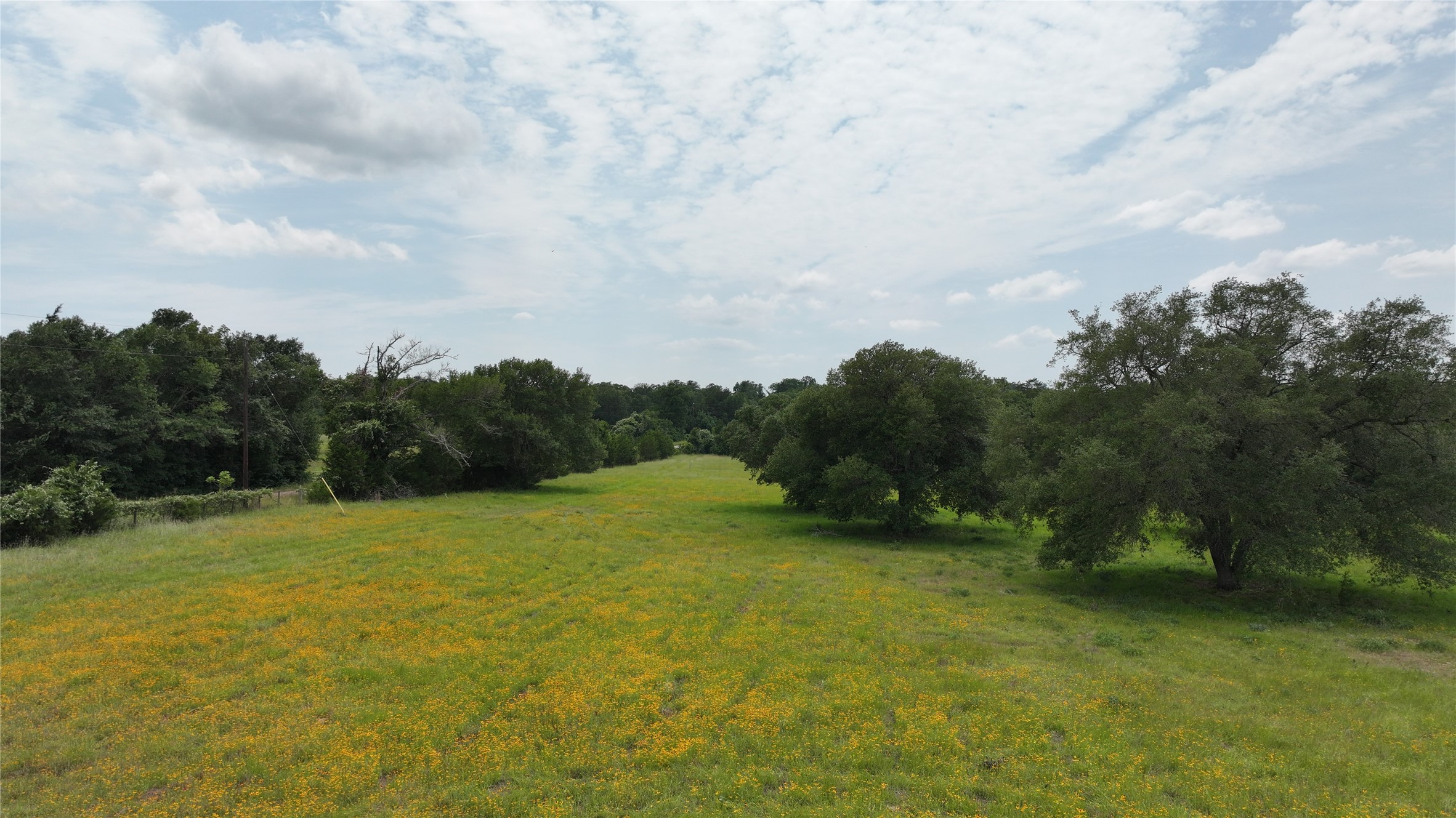 Tbd Greenvine Road Property Photo 11