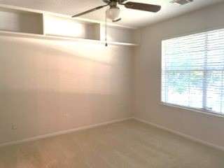 4331 Evergreen Elm Ct Court Property Photo 18