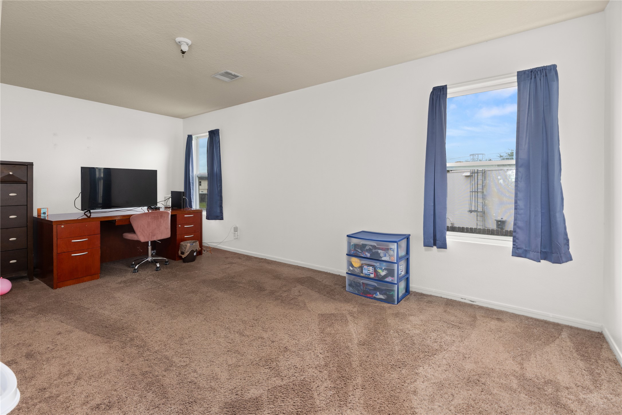 4919 Conifer Ridge Way Property Photo 21