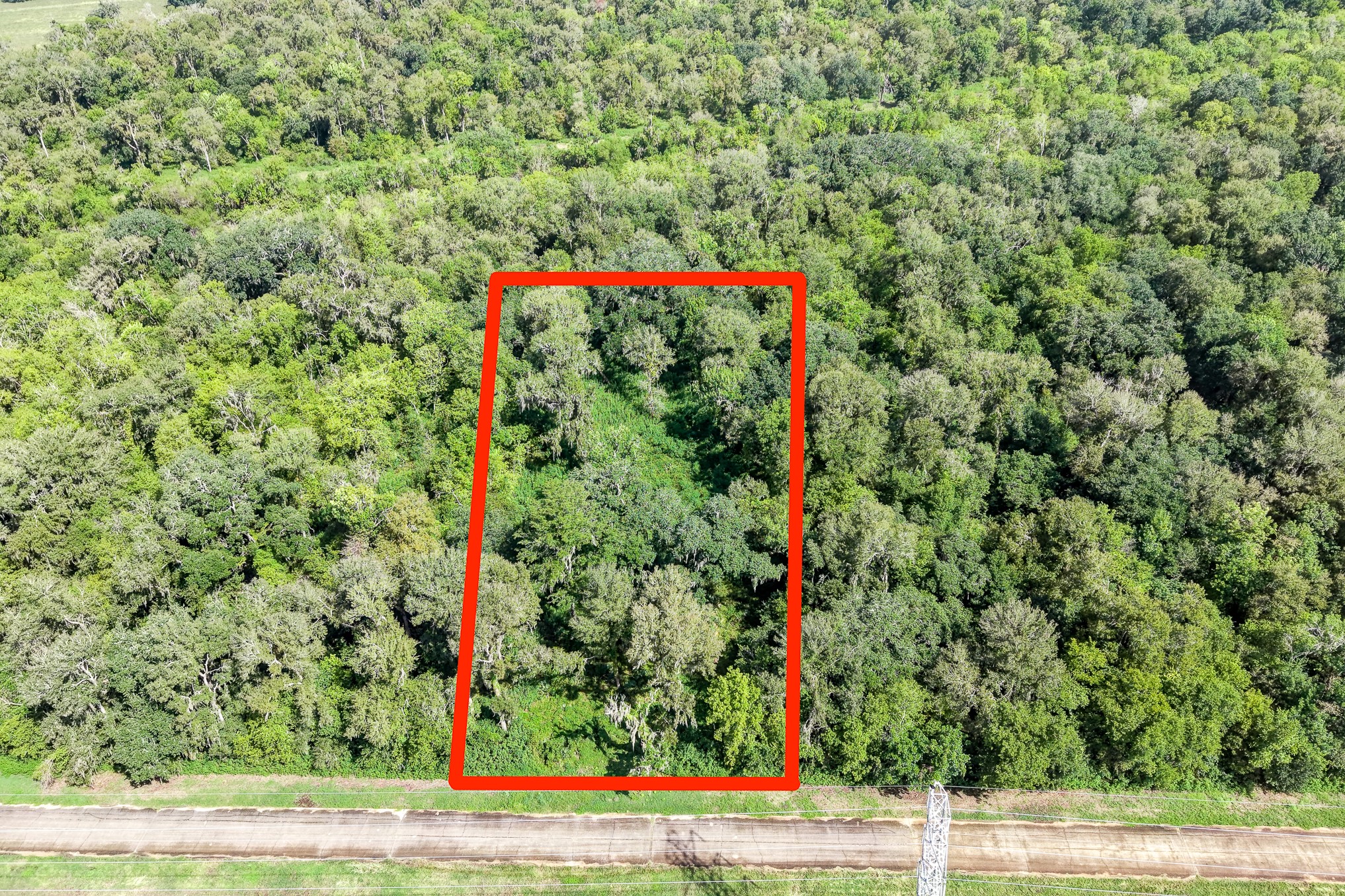 248 Middle Bayou Trail Property Photo 1