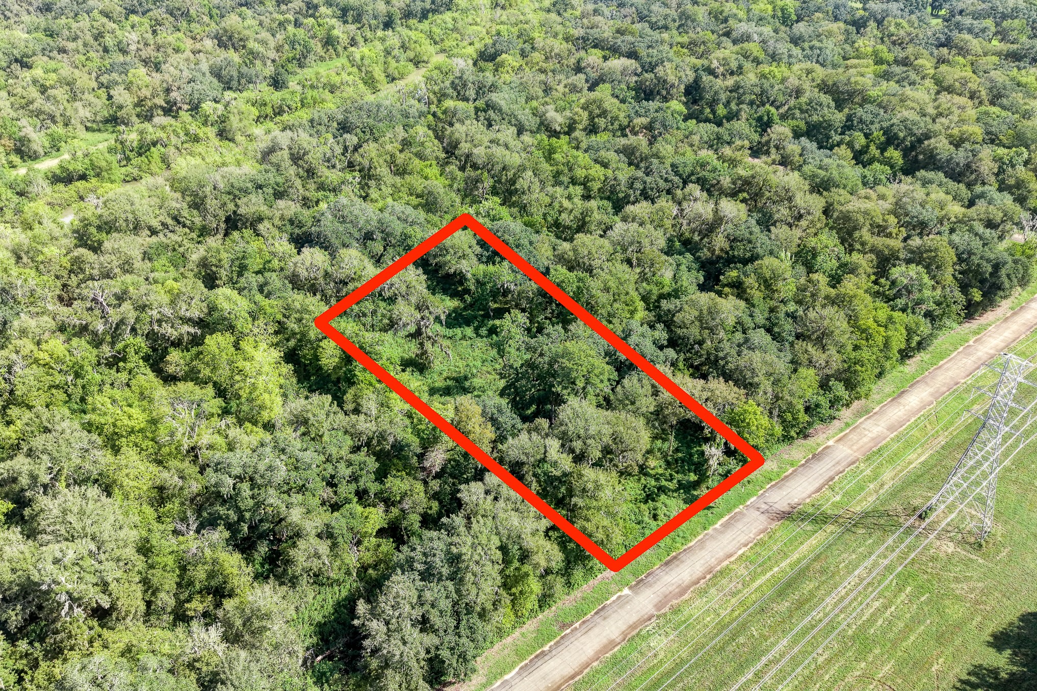 248 Middle Bayou Trail Property Photo 2