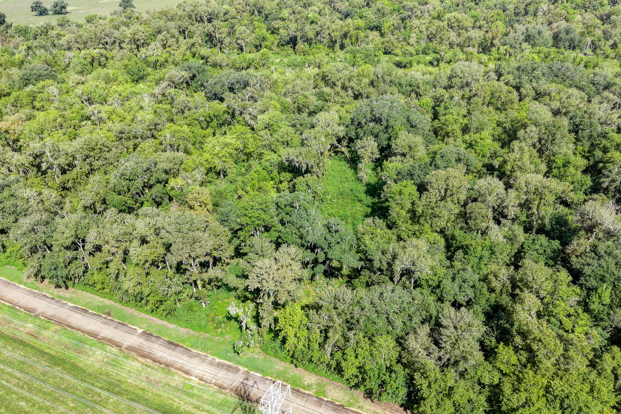 248 Middle Bayou Trail Property Photo 5