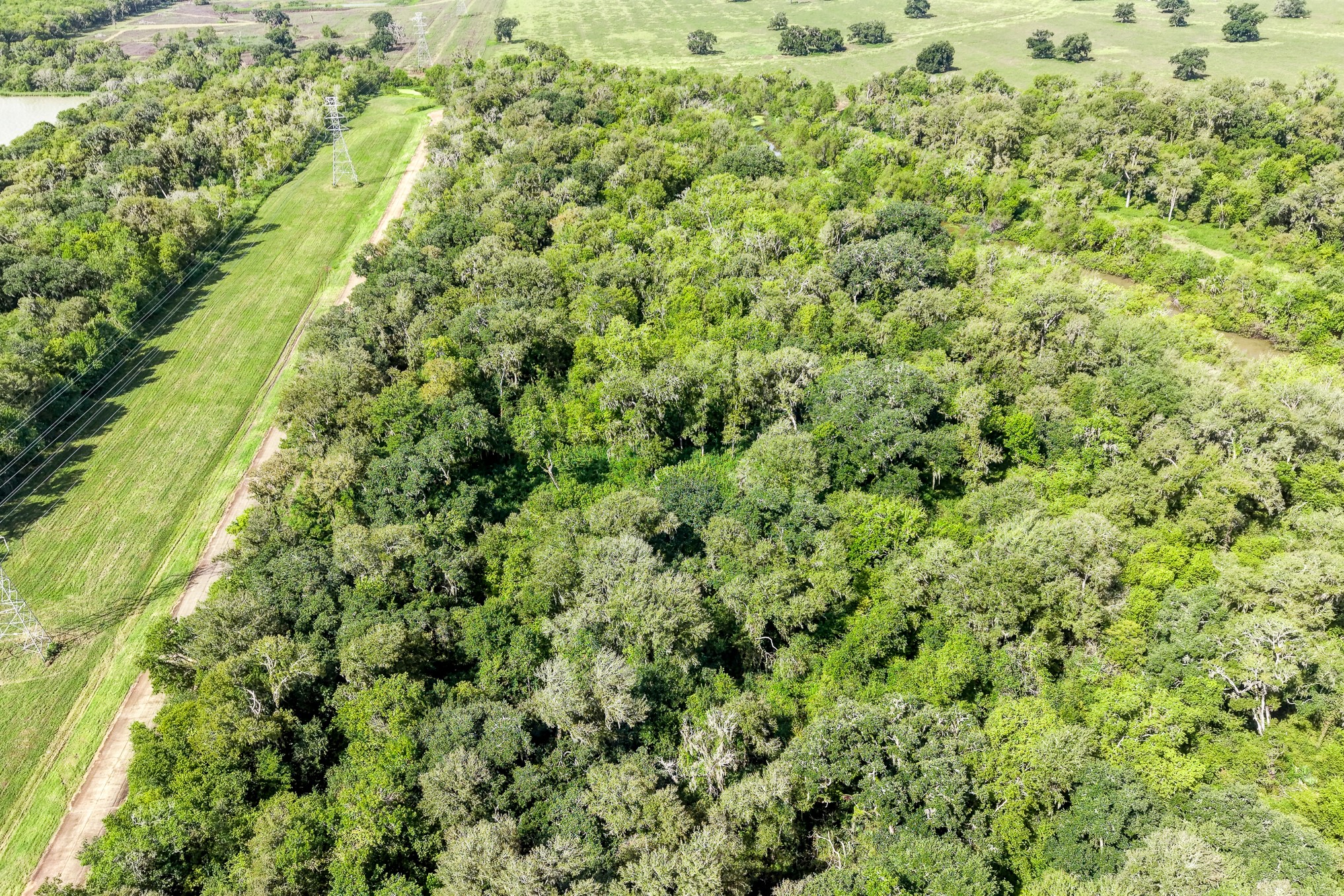 248 Middle Bayou Trail Property Photo 7