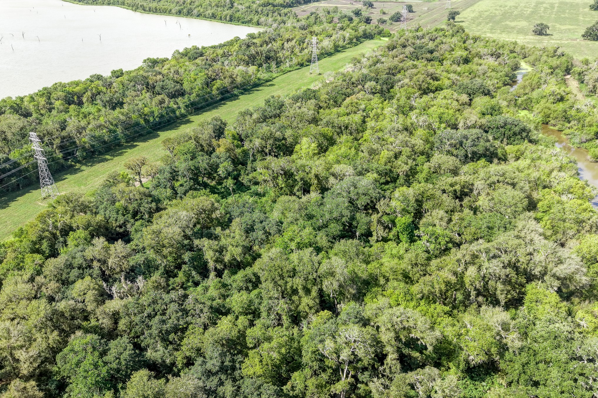 248 Middle Bayou Trail Property Photo 8