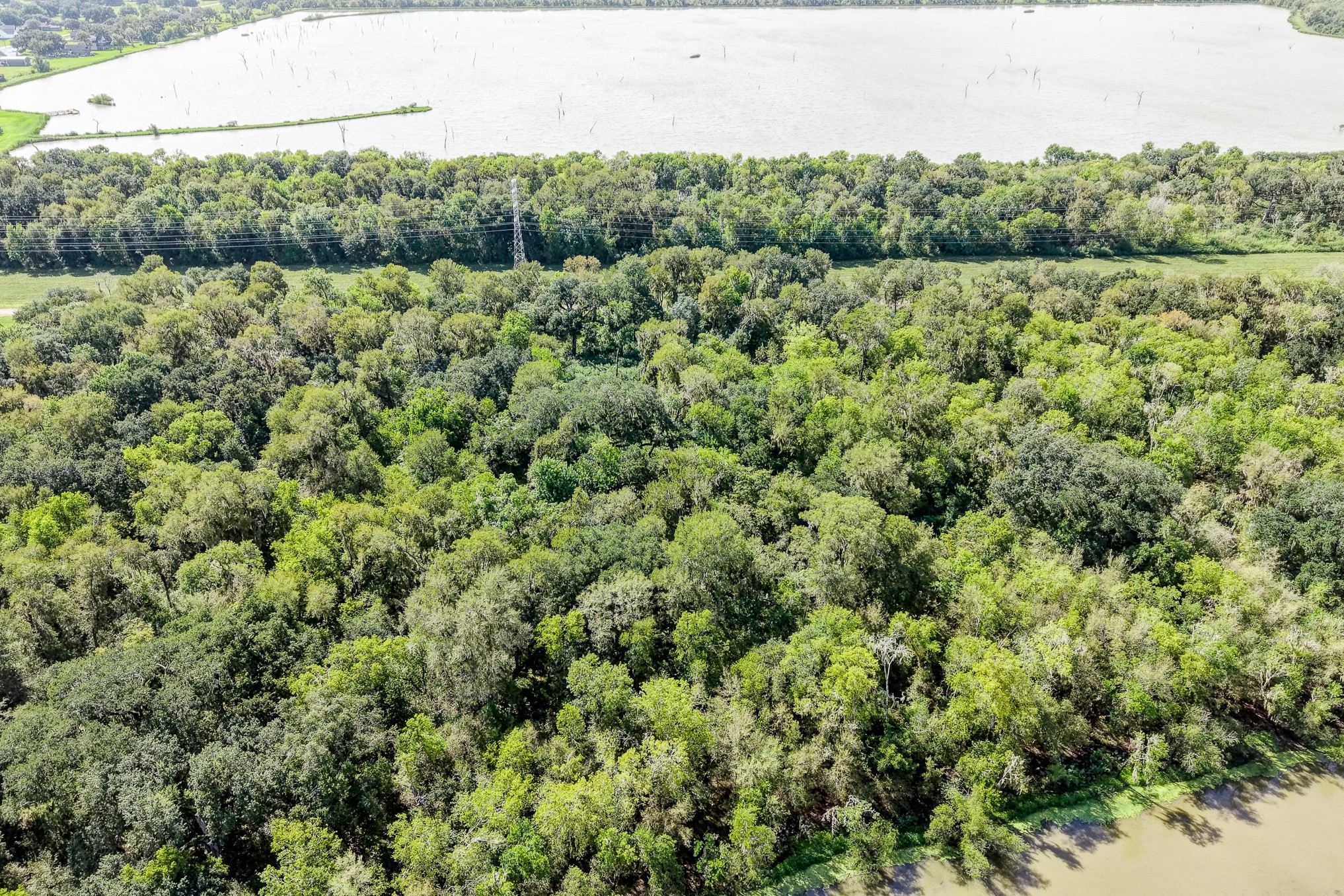 248 Middle Bayou Trail Property Photo 9