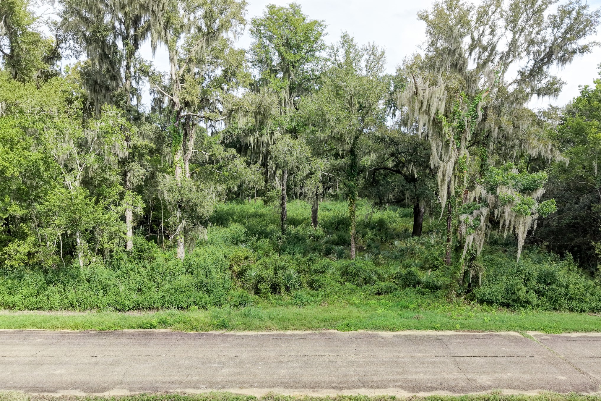 248 Middle Bayou Trail Property Photo 19