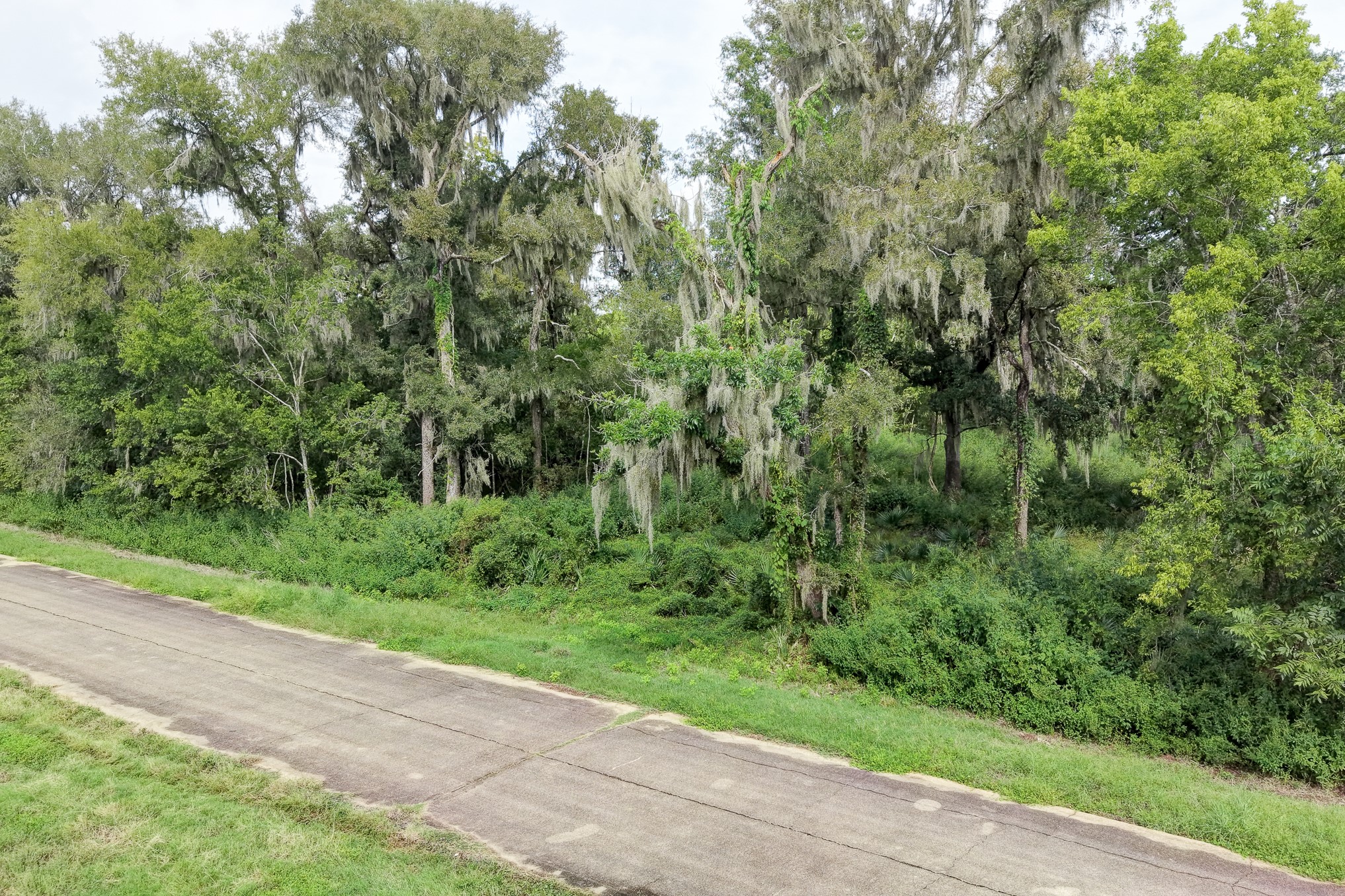248 Middle Bayou Trail Property Photo 20