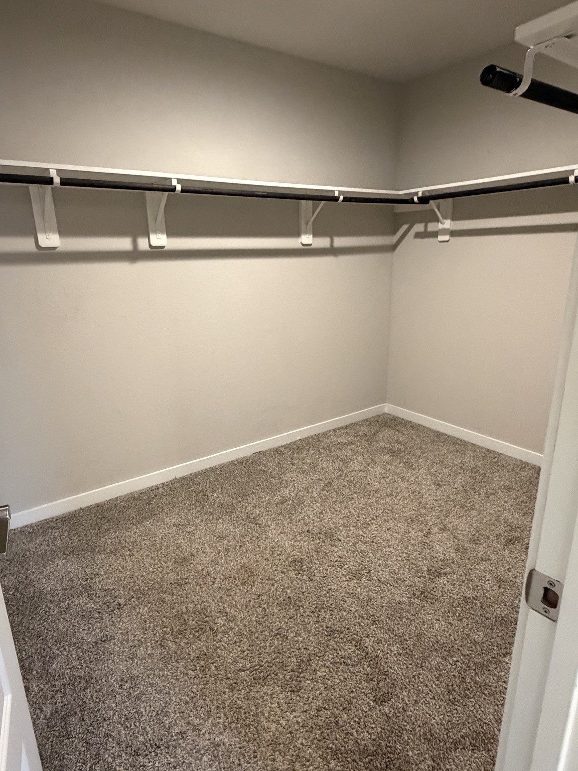 29422 Pikes Peak Drive Property Photo 9