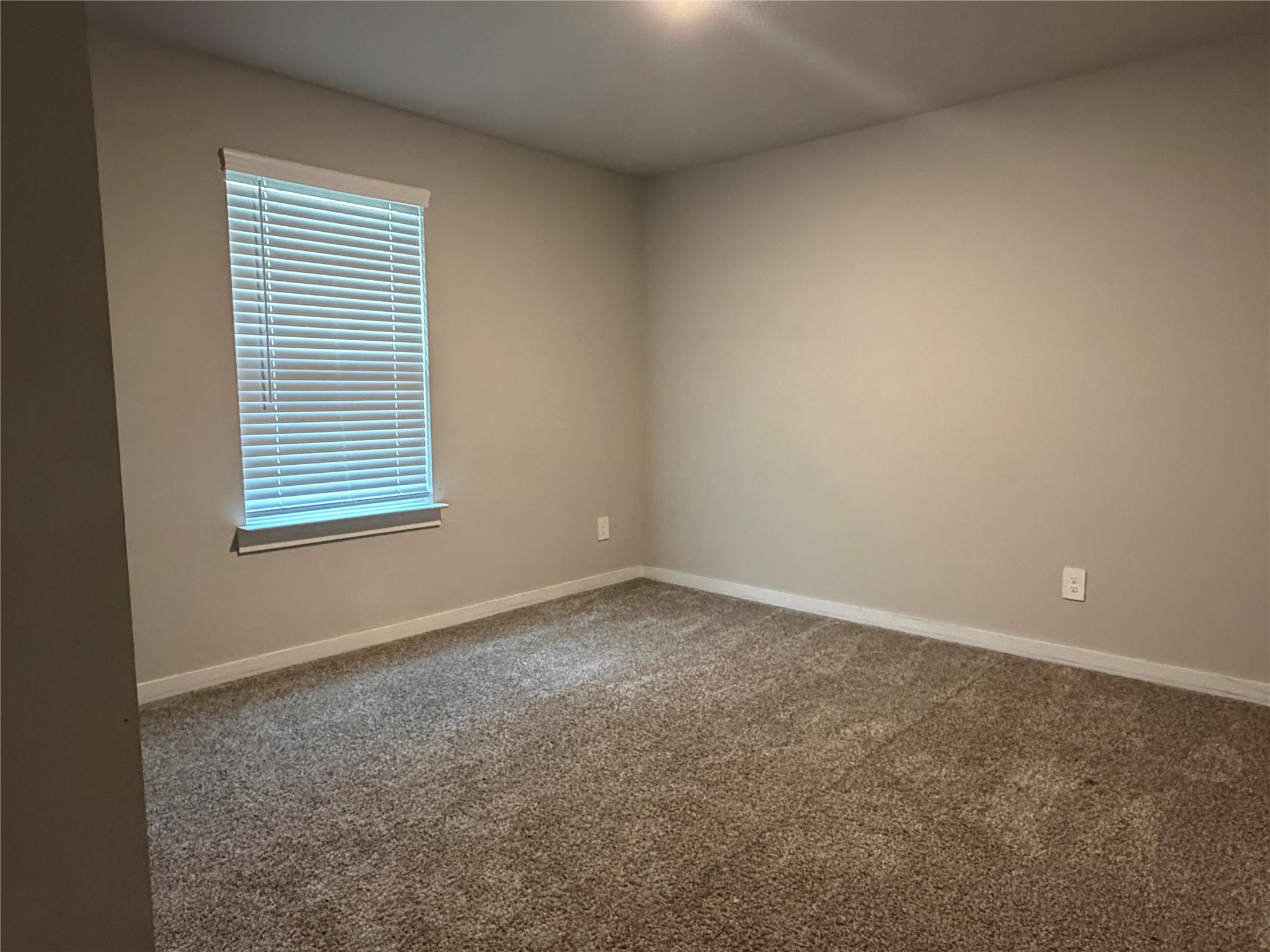 29422 Pikes Peak Drive Property Photo 11