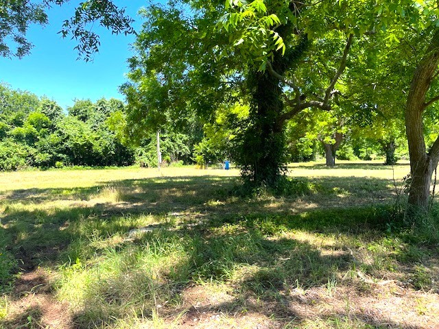 2125 Peach Ridge Road Property Photo 12