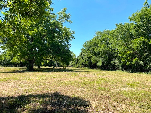 2125 Peach Ridge Road Property Photo 26