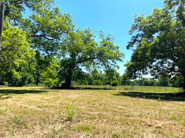 2125 Peach Ridge Road Property Photo 28