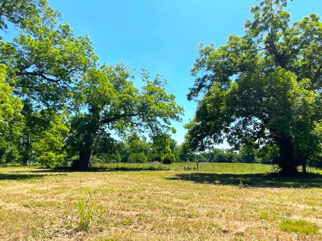2125 Peach Ridge Road Property Photo 29