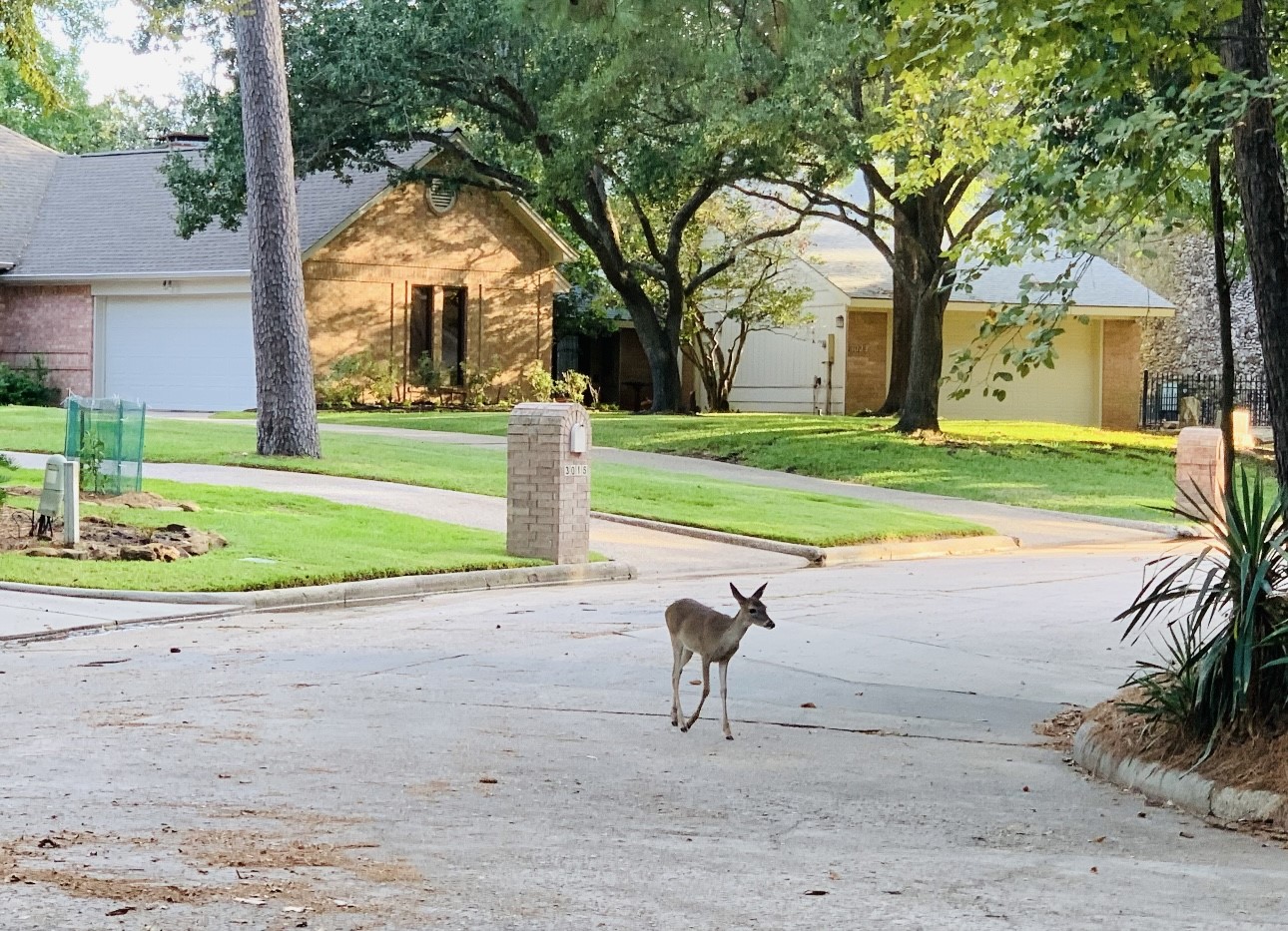 3007 Willowbend Road Property Photo 42