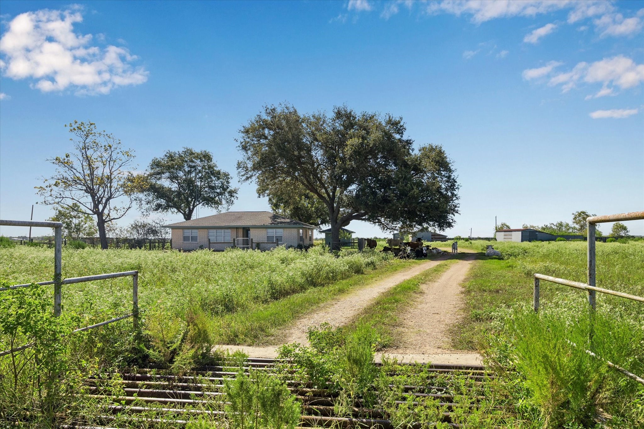 4107 Highway 159 E Property Photo 14