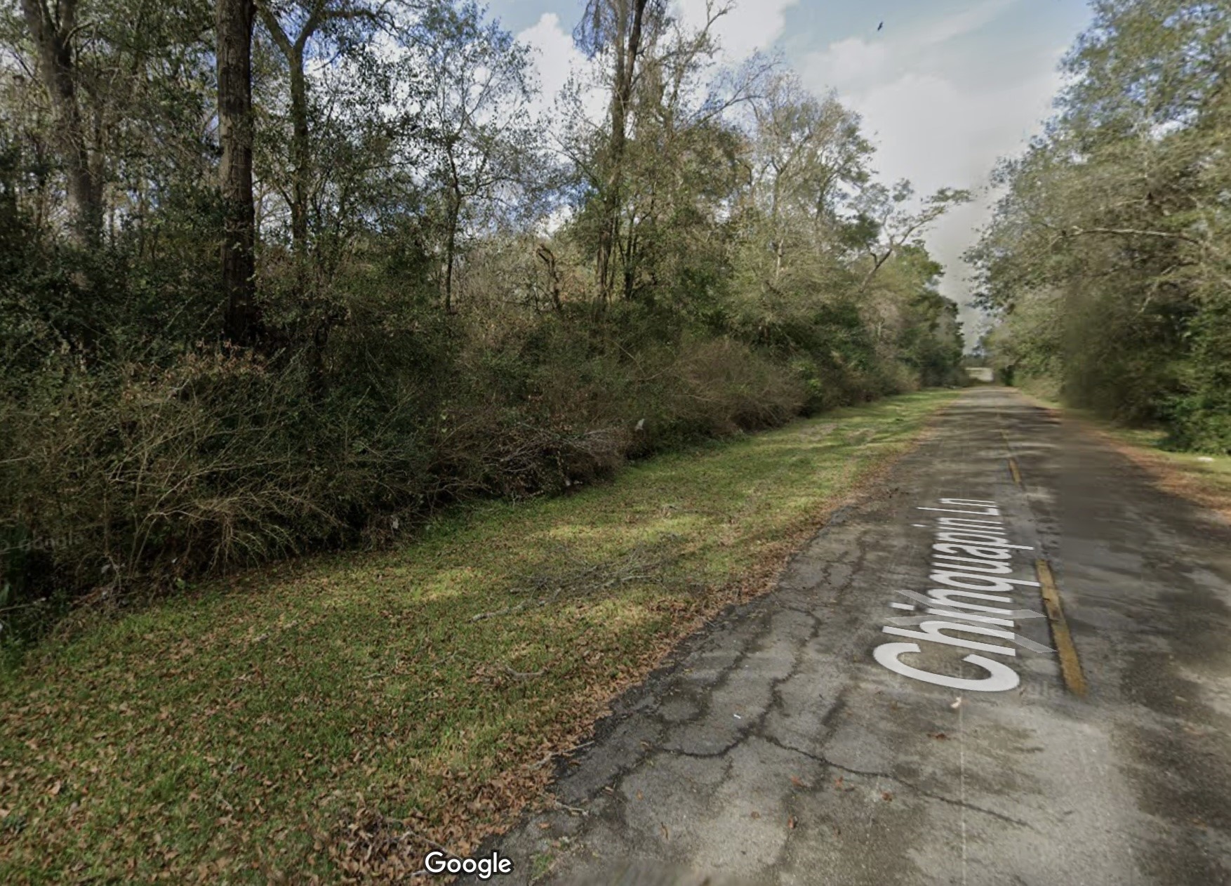 0 Chinquapin Lane Property Photo 1