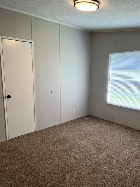16469 Spring Rain Court Property Photo 11