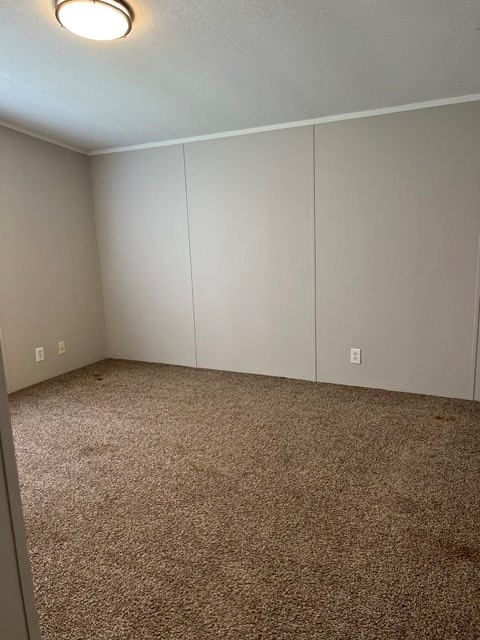 16469 Spring Rain Court Property Photo 14