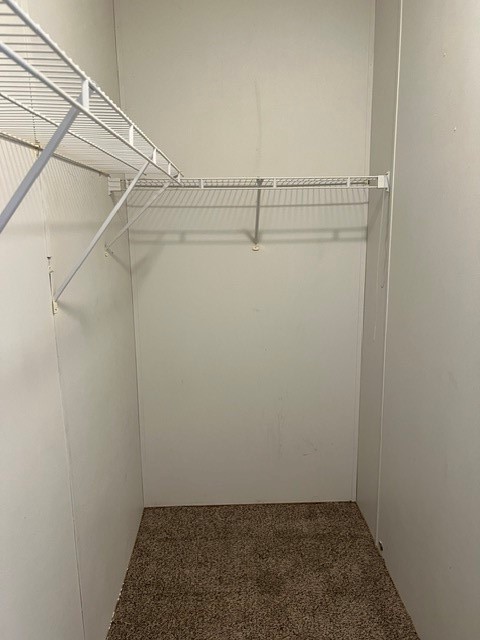 16469 Spring Rain Court Property Photo 15