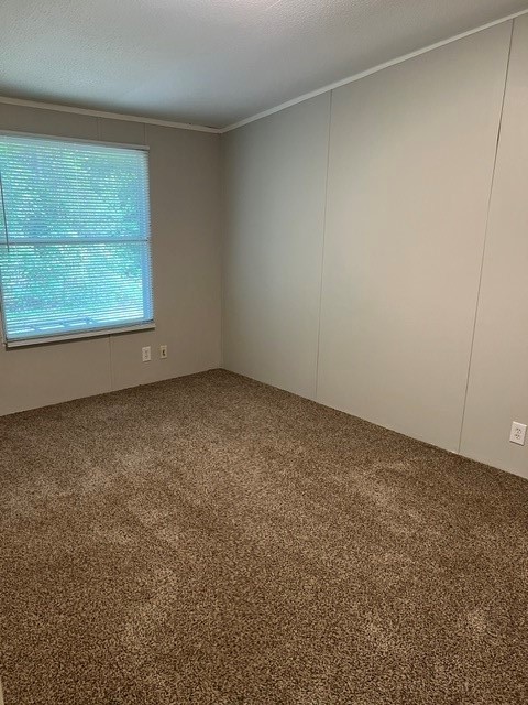 16469 Spring Rain Court Property Photo 18