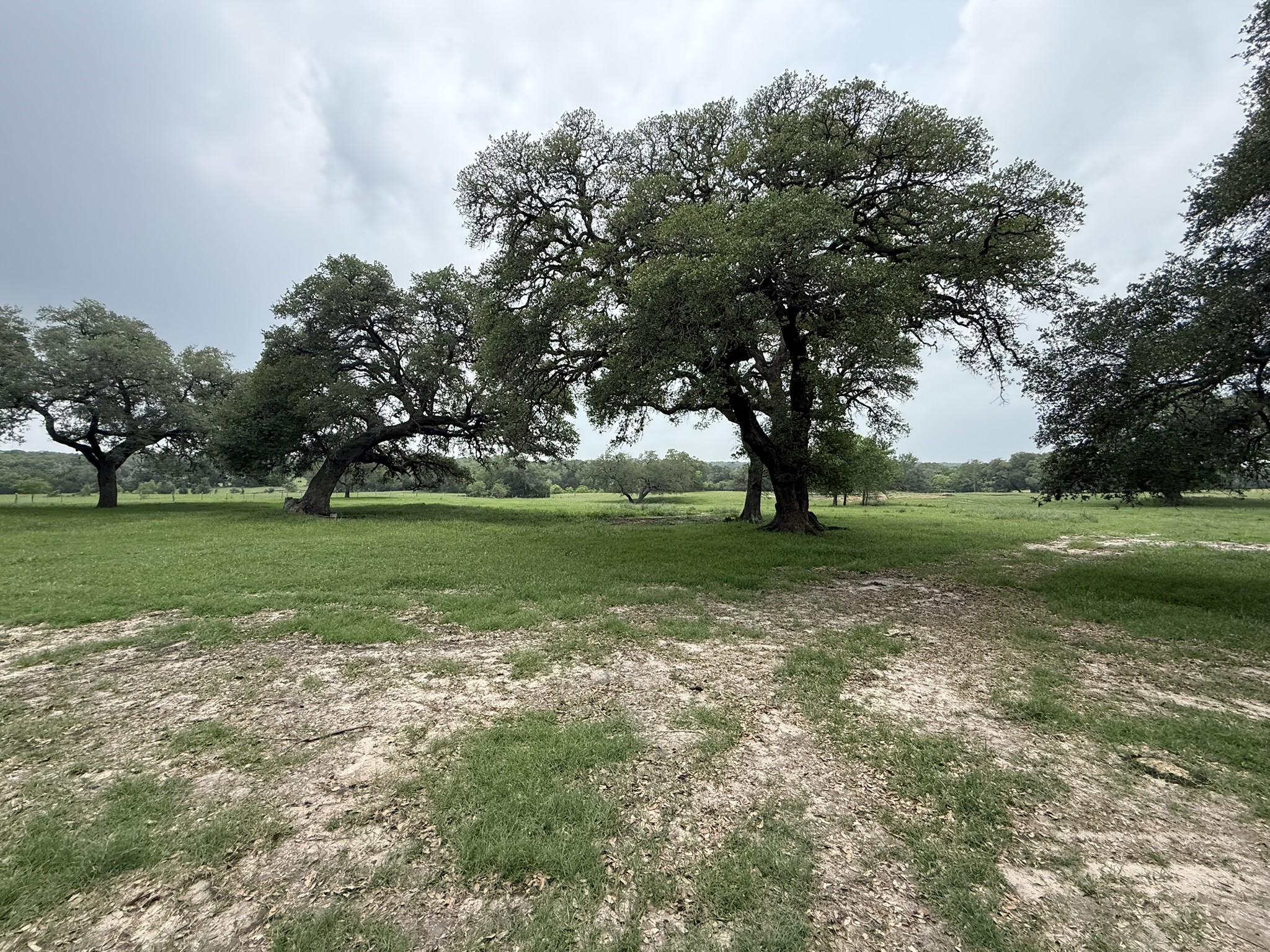 0000 Farm To Market 2238 Property Photo 1