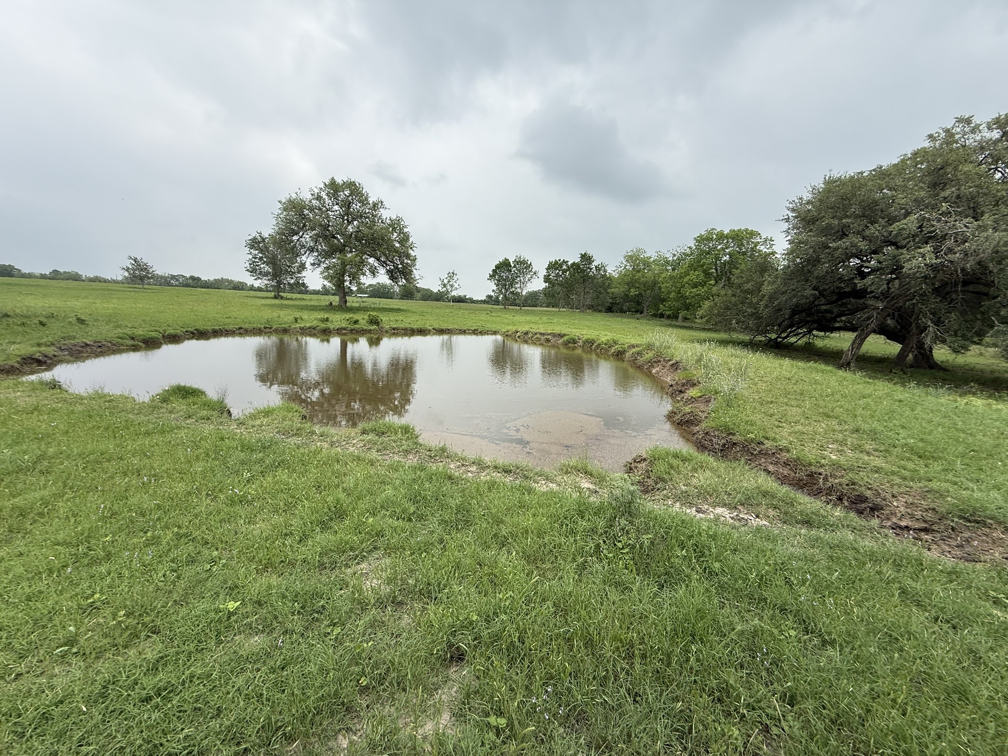 0000 Farm To Market 2238 Property Photo 2