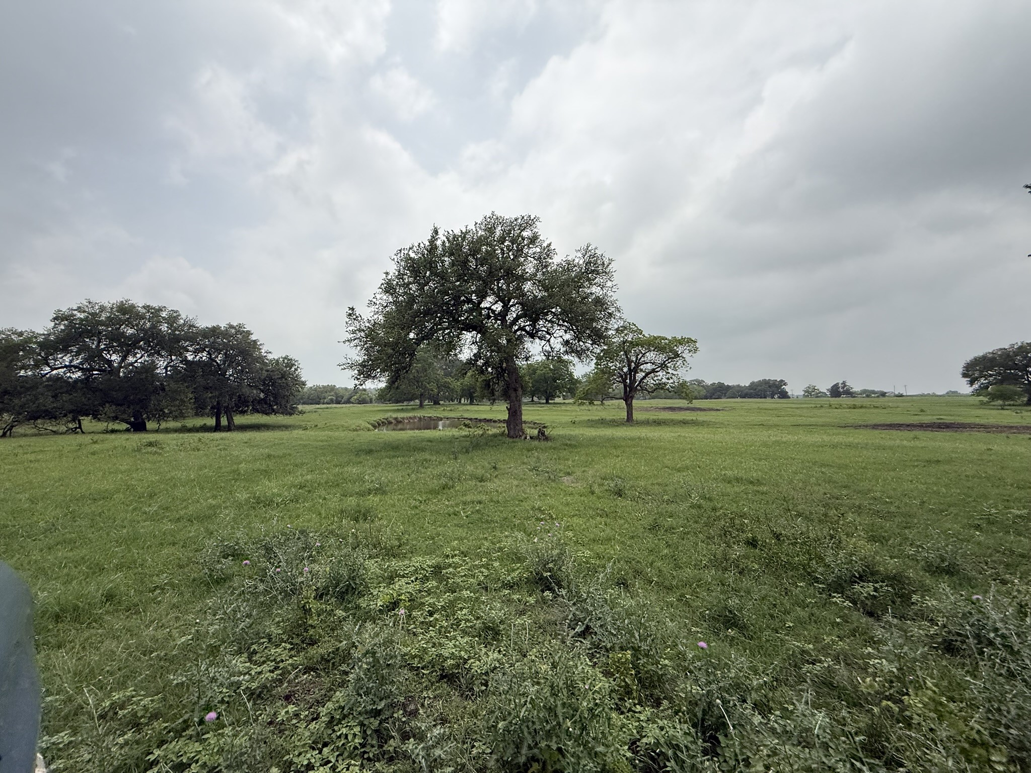 0000 Farm To Market 2238 Property Photo 3
