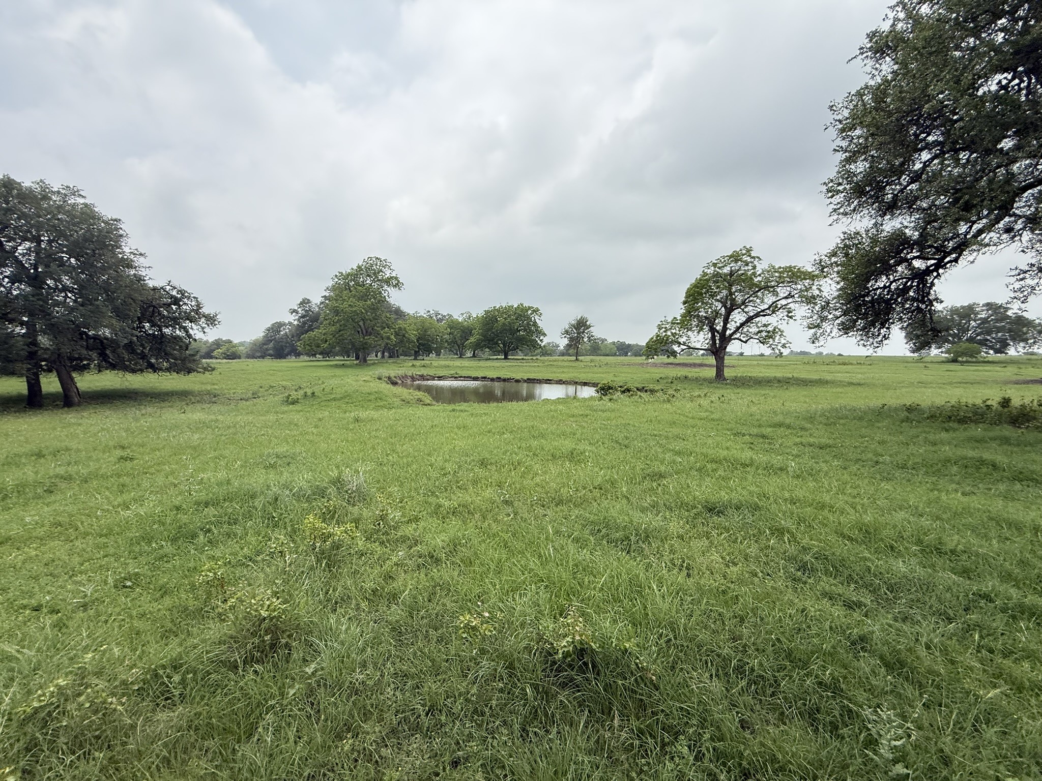 0000 Farm To Market 2238 Property Photo 4