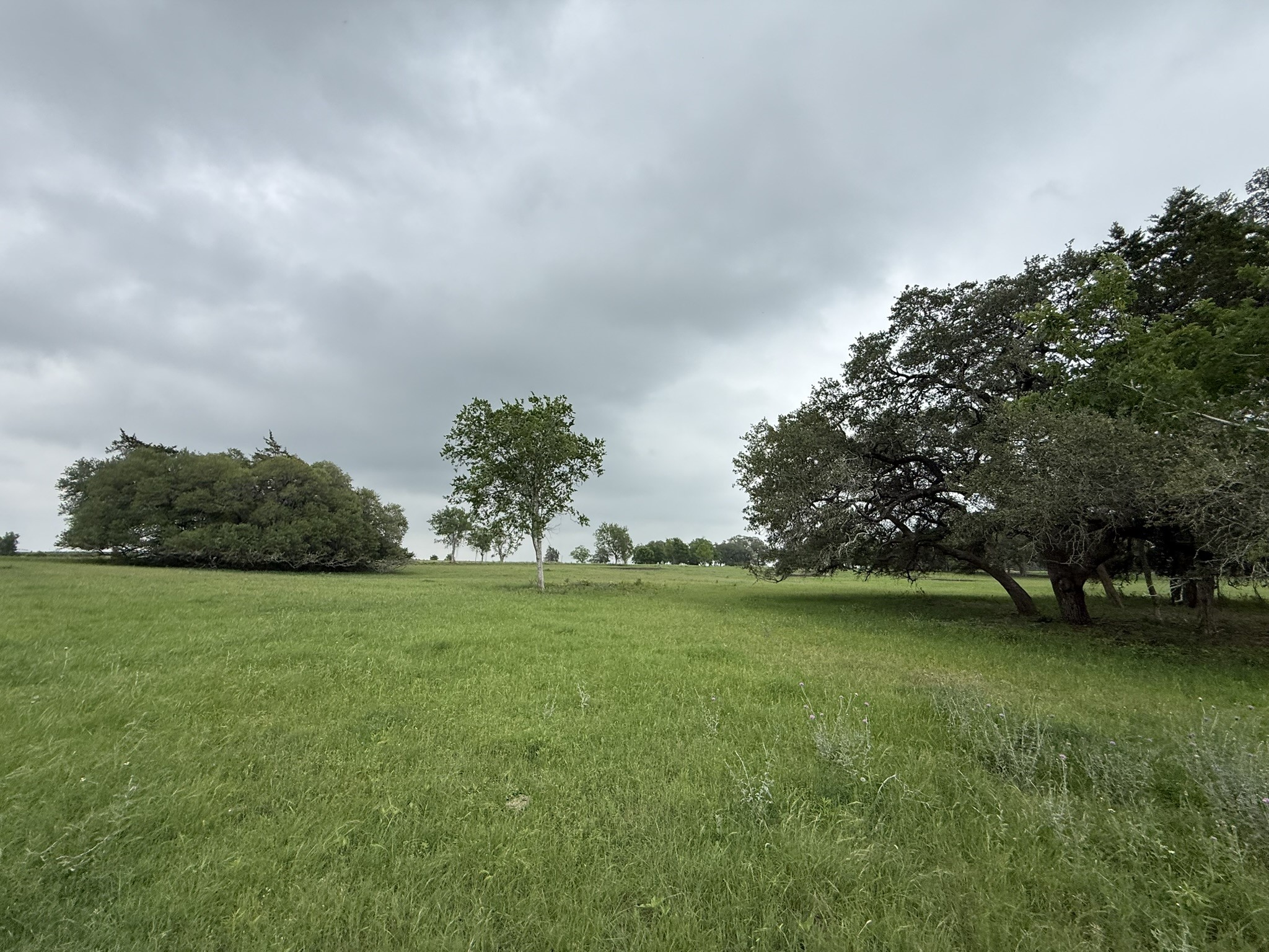 0000 Farm To Market 2238 Property Photo 7