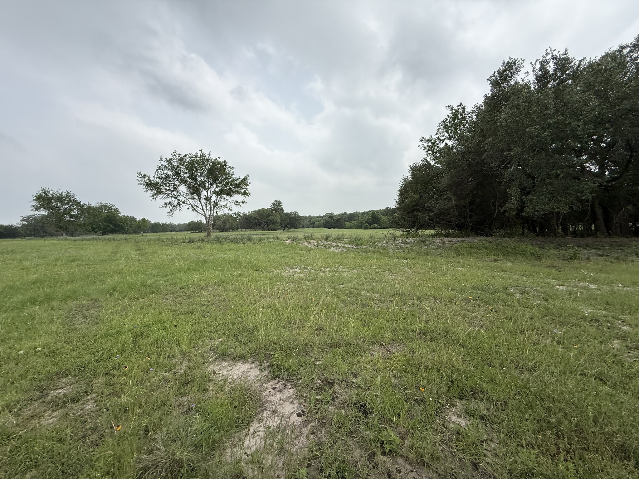 0000 Farm To Market 2238 Property Photo 8