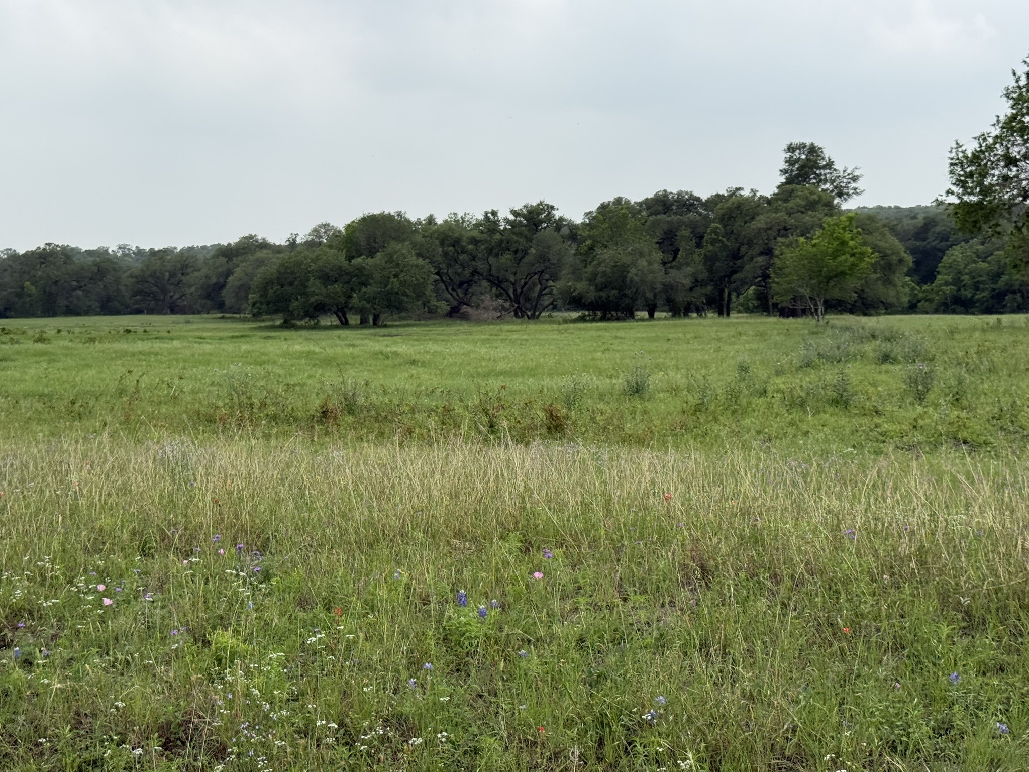 0000 Farm To Market 2238 Property Photo 9