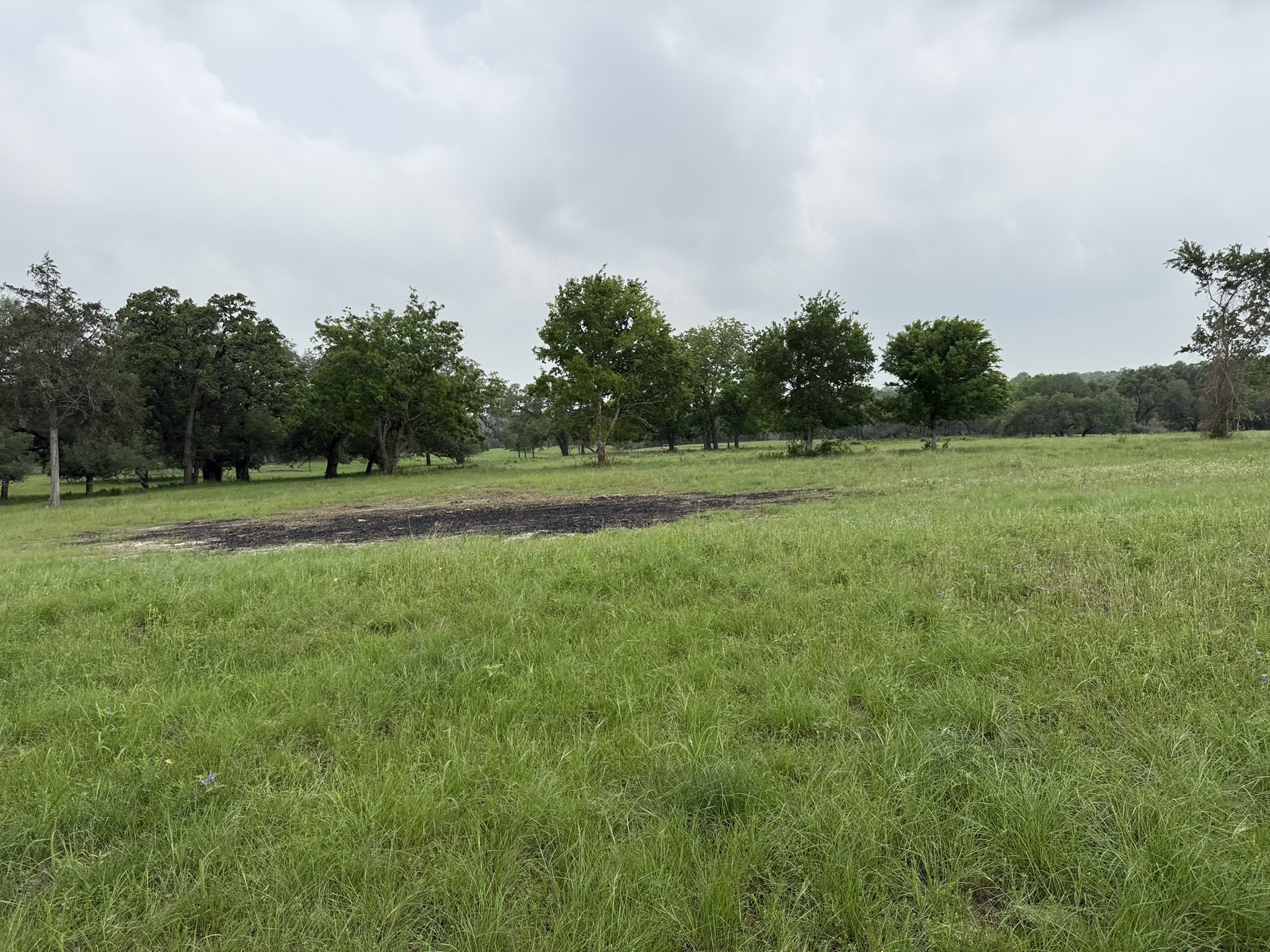 0000 Farm To Market 2238 Property Photo 10