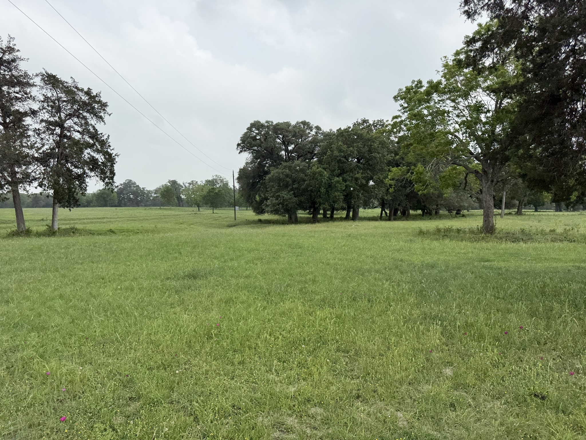 0000 Farm To Market 2238 Property Photo 11