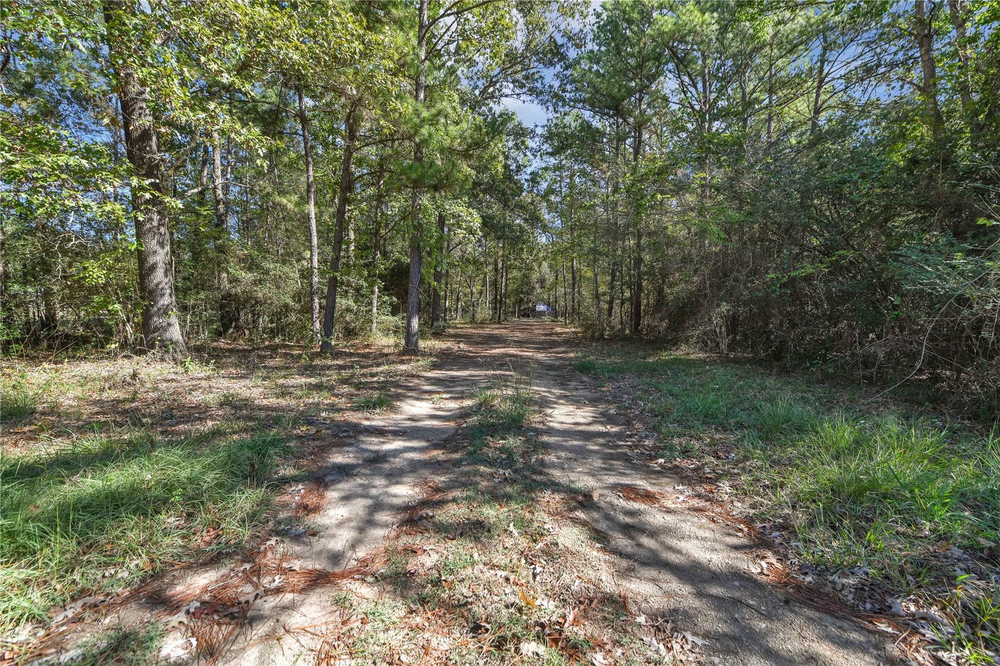 695 Piney Trail Property Photo 2