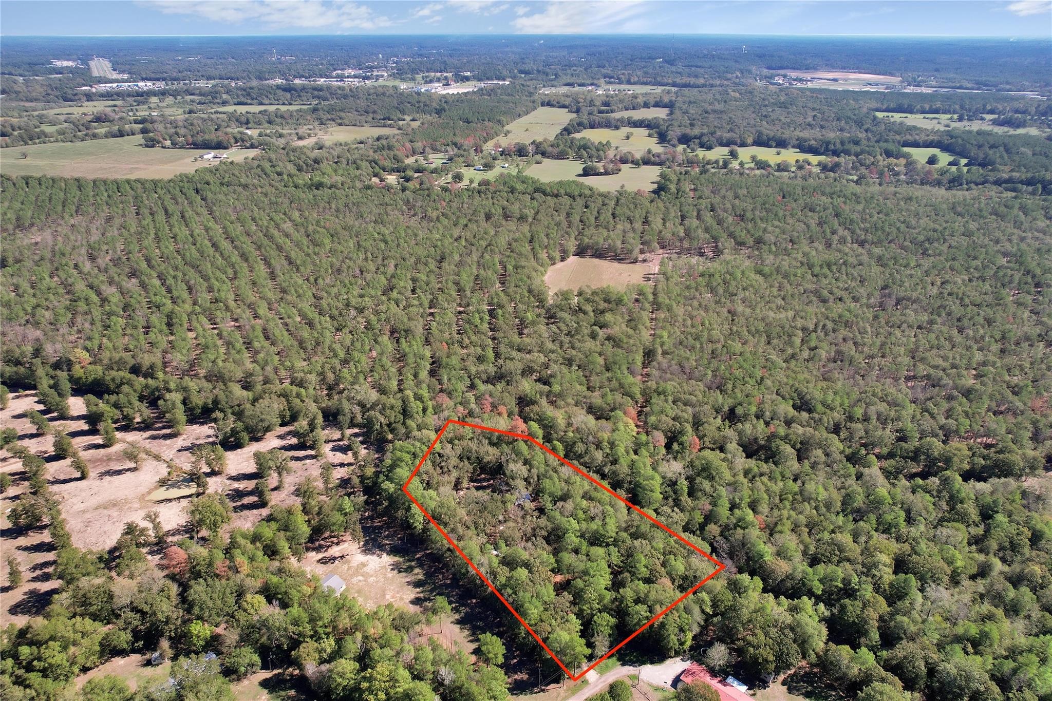 695 Piney Trail Property Photo 5