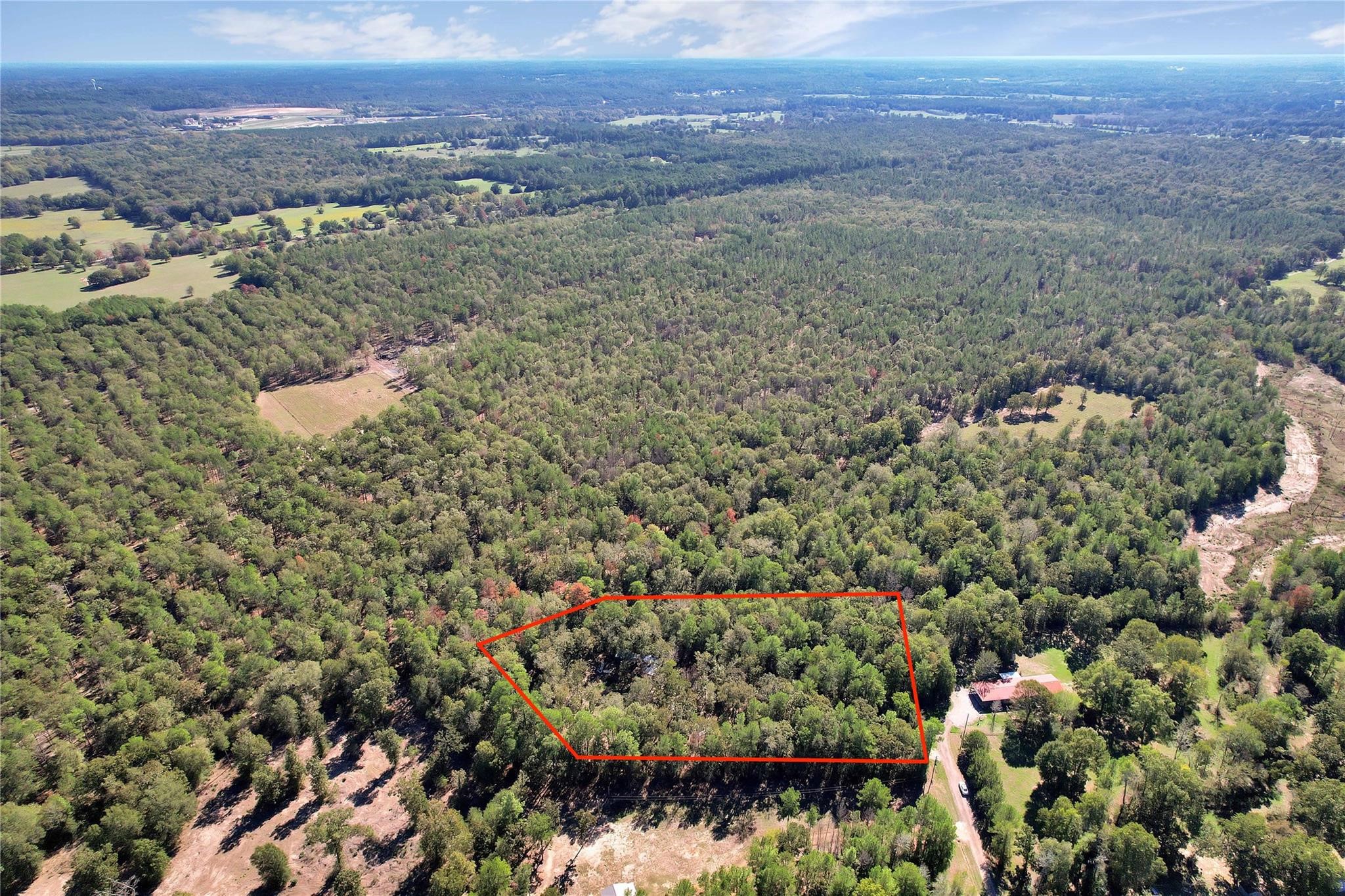 695 Piney Trail Property Photo 6