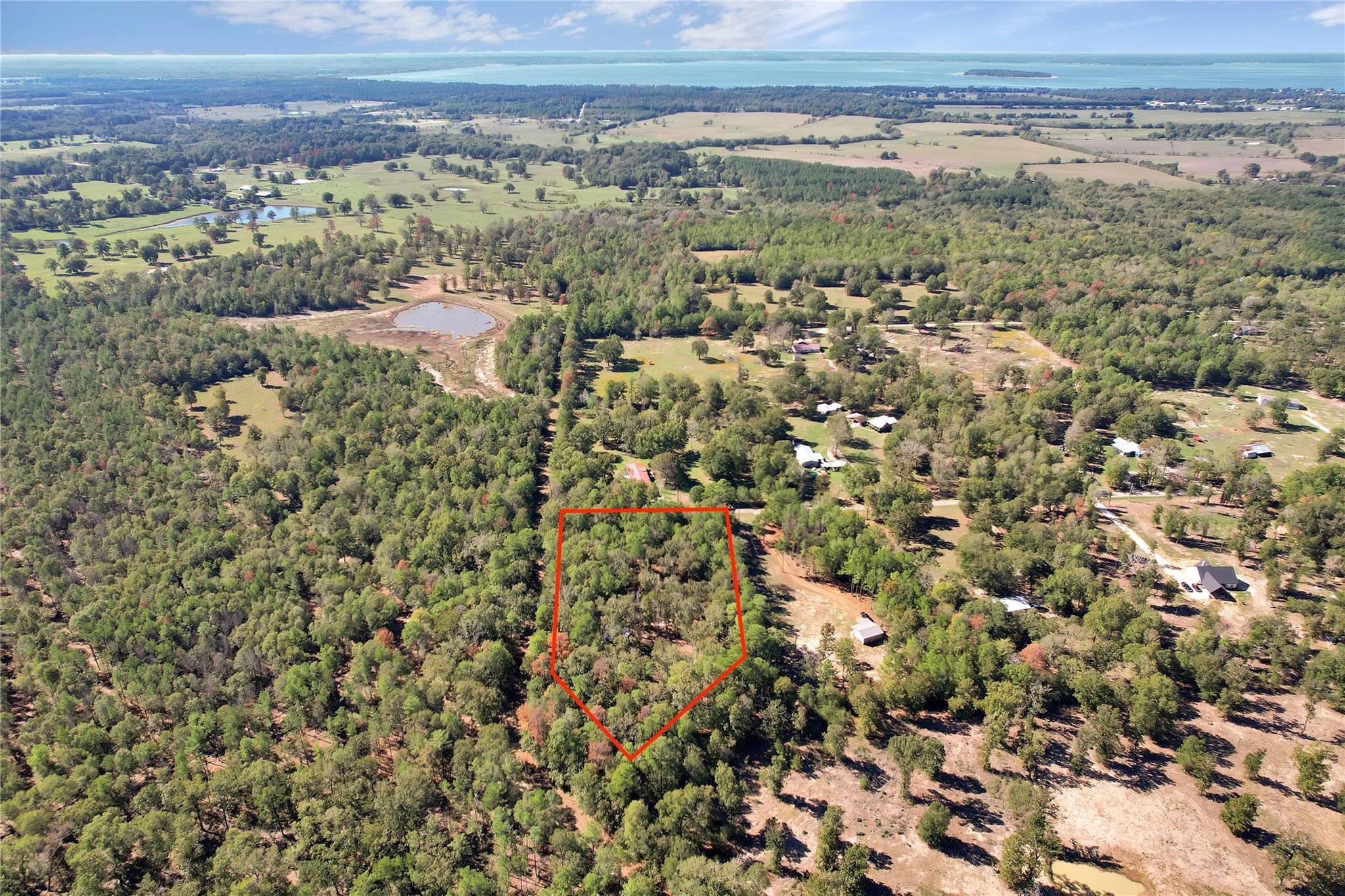 695 Piney Trail Property Photo 8