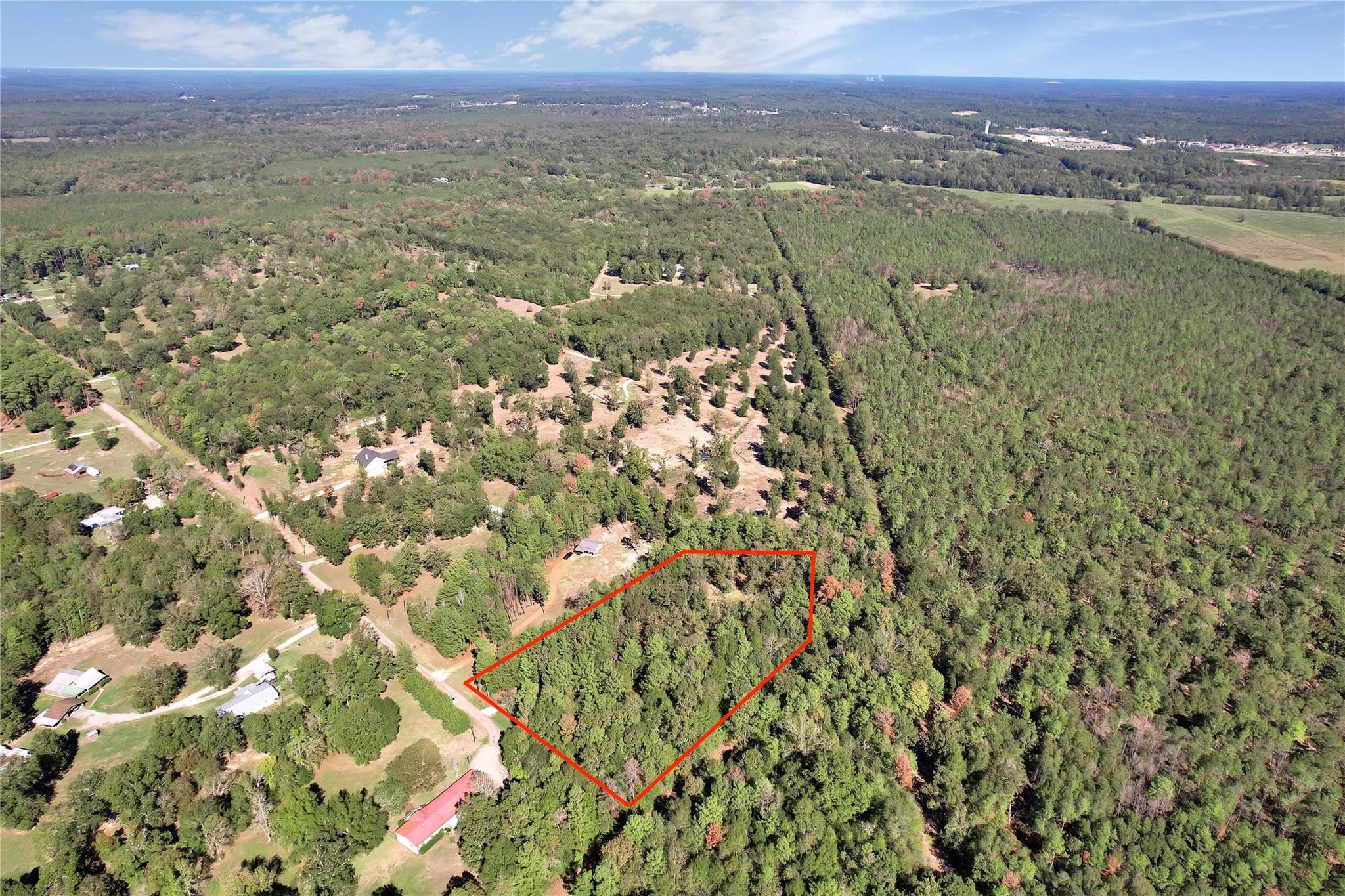 695 Piney Trail Property Photo 11