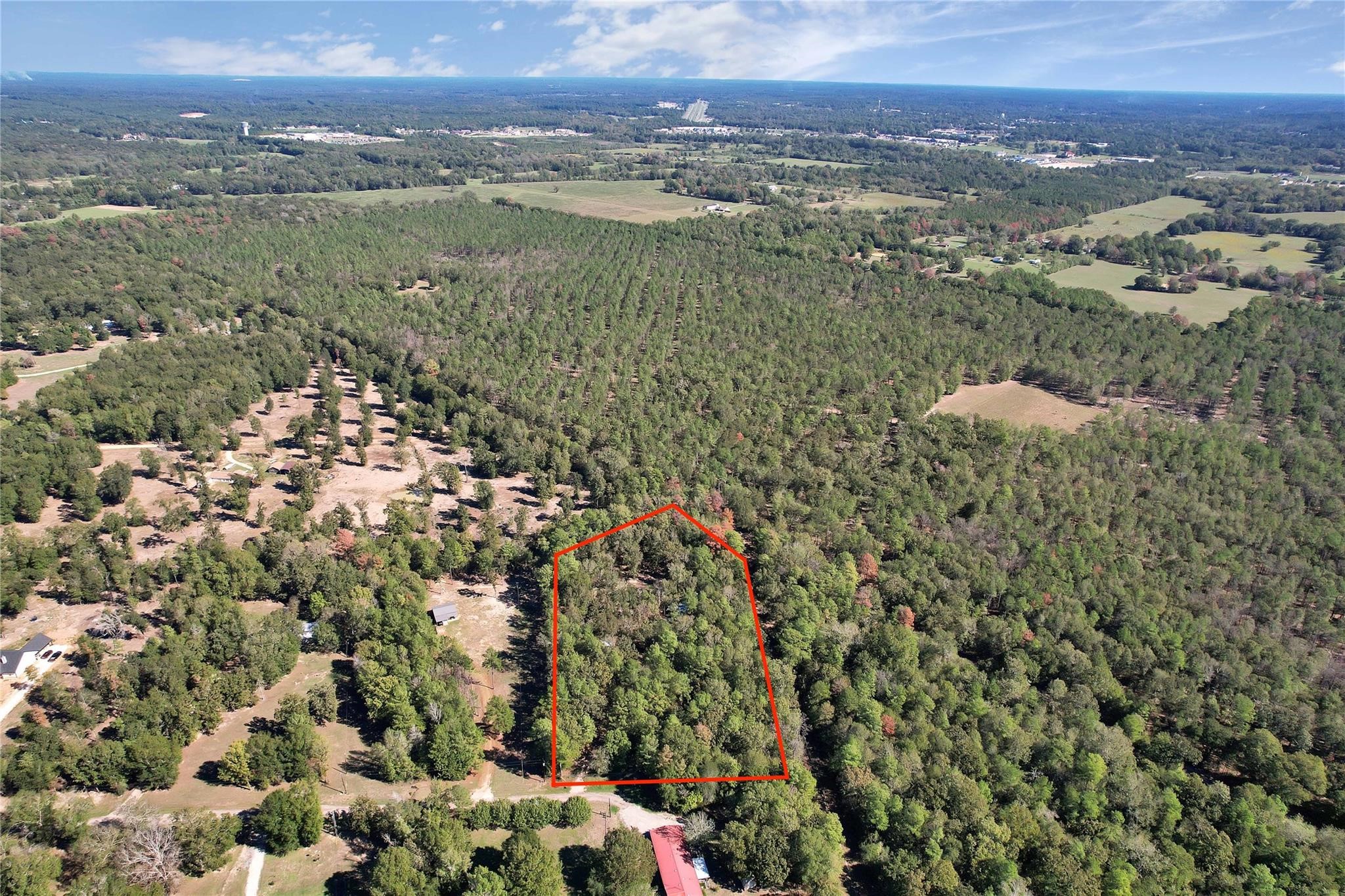 695 Piney Trail Property Photo 12