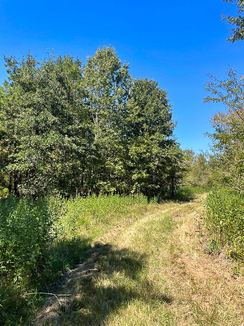8881 Fm 356 Property Photo 1