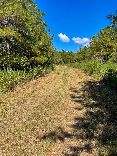 8881 Fm 356 Property Photo 2